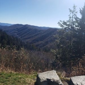 Meet your Posher, Alison